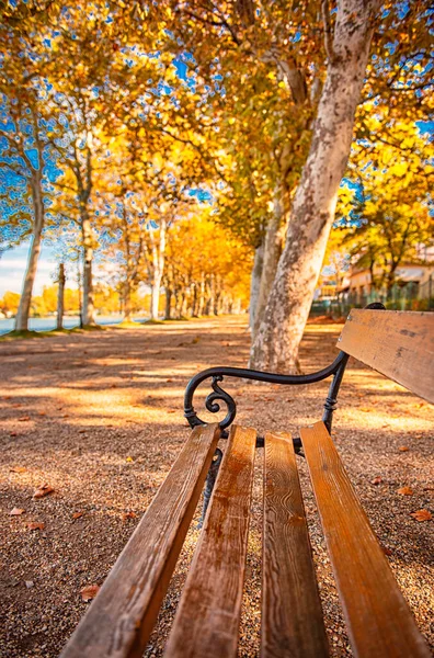 Banc Avec Lumières Automnales Octobre — Photo