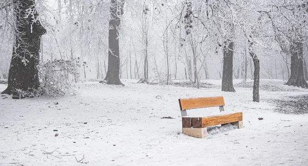 Belle Scène Hiver Couverte Neige — Photo