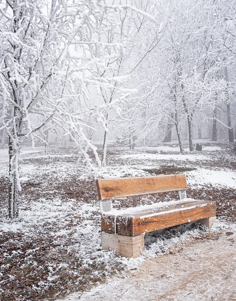 Bella Scena Invernale Coperta Neve — Foto Stock