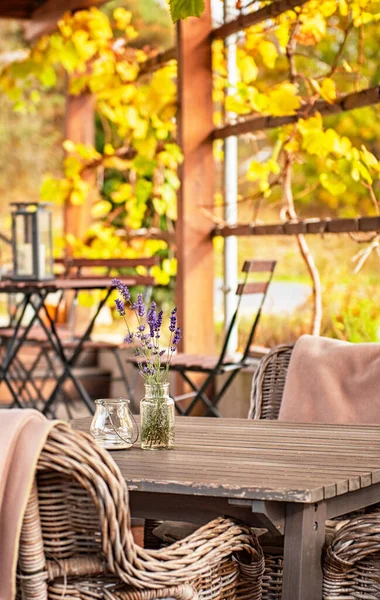 Sonbaharda Balkabaklarıyla Rahat Bir Restoran — Stok fotoğraf
