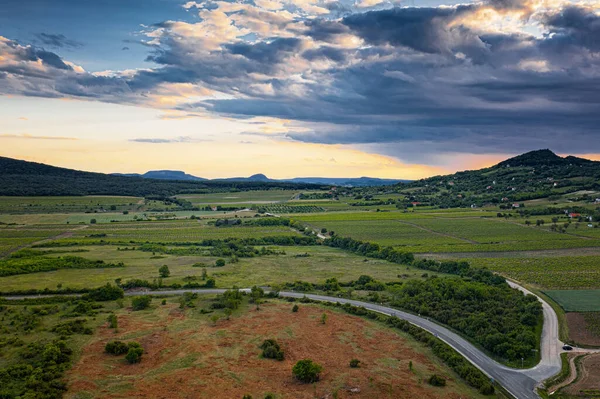 Kilátás Szép Szőlőskertekre Balatonnál — Stock Fotó