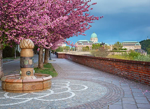 Amazing Spring Cityscape Buda Castle District Budapest Hungary — Stock Photo, Image