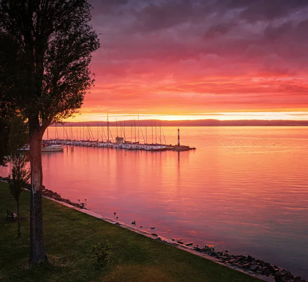 Maravilhoso Pôr Sol Sobre Lago Balaton Verão — Fotografia de Stock