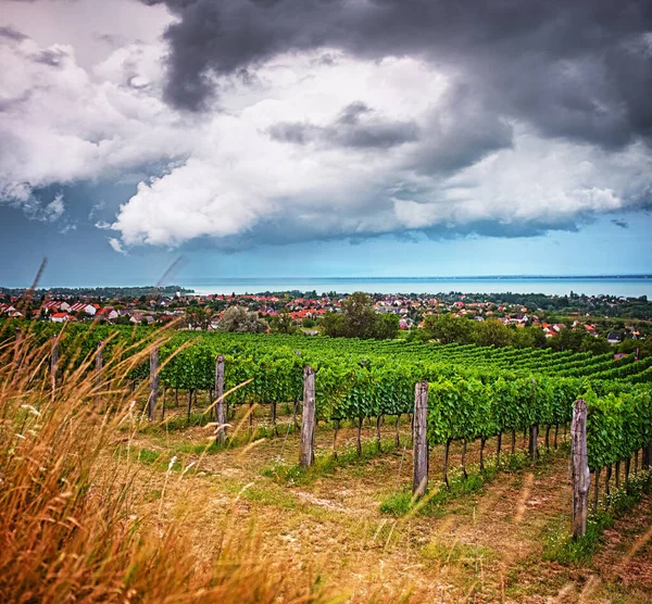 Буря Над Виноградниками Озера Балатон Угорщина — стокове фото