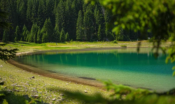 黑山Crno Jezero湖 — 图库照片