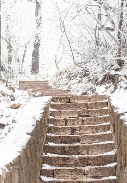 Treppen Winter Mit Schnee Bedeckt — Stockfoto