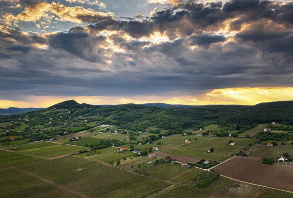 Vista Bonitos Viñedos Lago Balaton — Foto de Stock