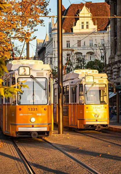Традиционный Жёлтый Трамвай Будапеште — стоковое фото
