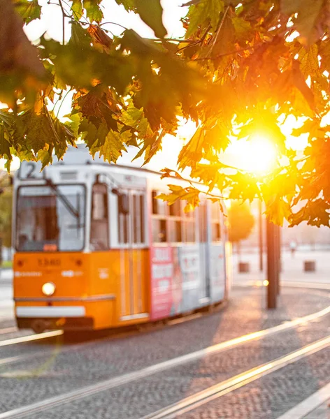 Традиционный Жёлтый Трамвай Будапеште — стоковое фото