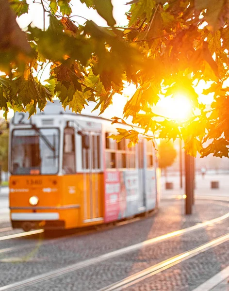 Tranvía Amarillo Tradicional Budapest Hungría — Foto de Stock