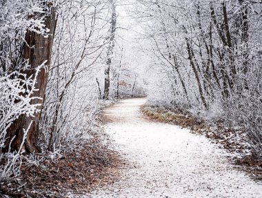 Karla kaplı güzel bir kış sahnesi