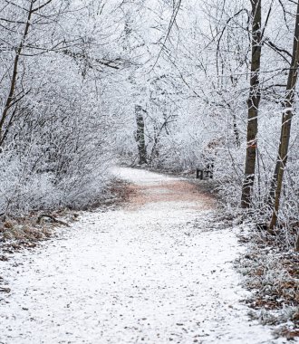 Karla kaplı güzel bir kış sahnesi