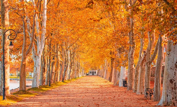 Percorso Sul Lago Balaton Autunno — Foto Stock