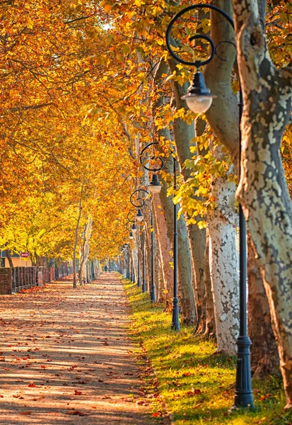 Pathway Lake Balaton Autumn — Stock Photo, Image