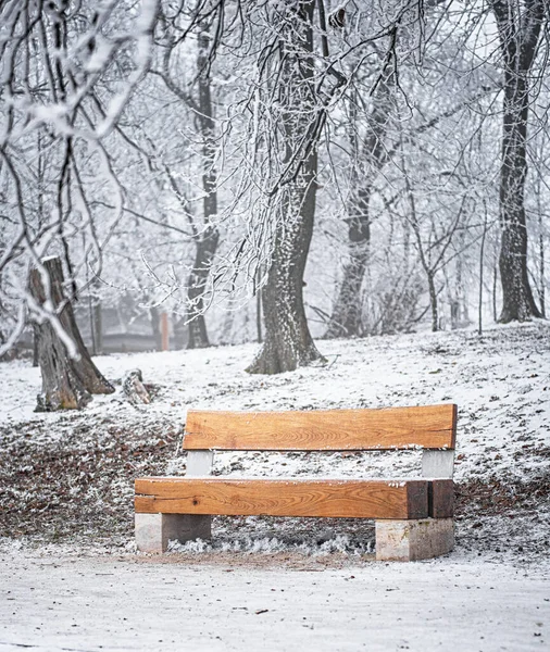 Nice Winter Scene Covered Snow — Stock Photo, Image