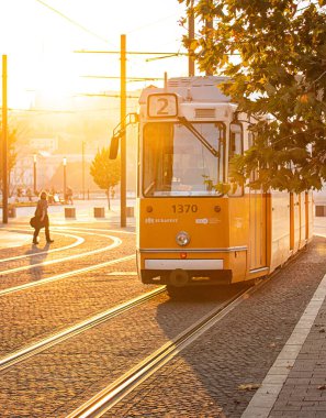 Sonbaharda Budapeşte 'de sarı tramvay