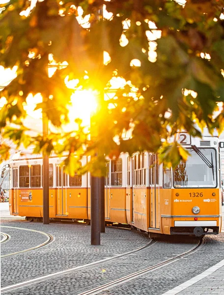 Желтый Трамвай Будапеште Осенью — стоковое фото