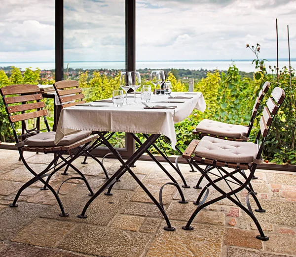 位于巴拉顿湖的一家有葡萄园的舒适餐厅 — 图库照片