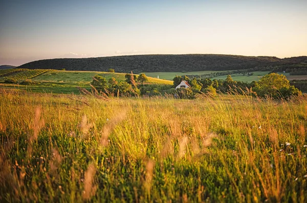 Champ Avec Une Maison Rurale Arrière Plan — Photo