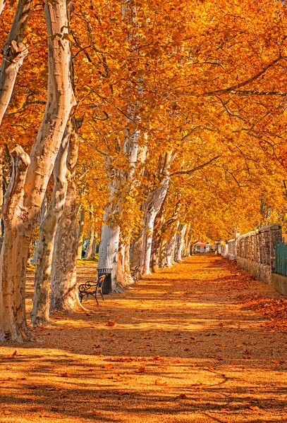 Percorso Sul Lago Balaton Autunno — Foto Stock