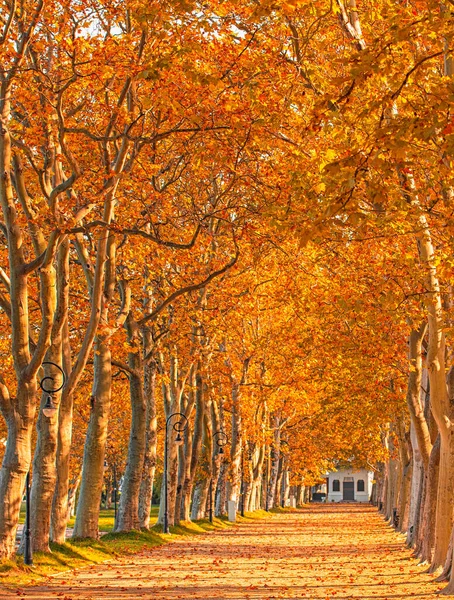 Caminho Lago Balaton Outono — Fotografia de Stock