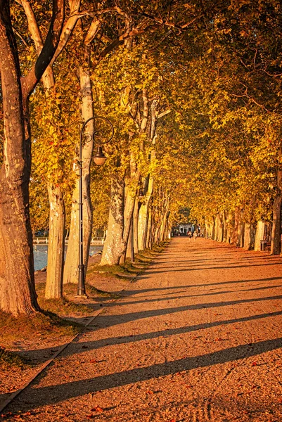 Camino Lago Balaton Otoño —  Fotos de Stock