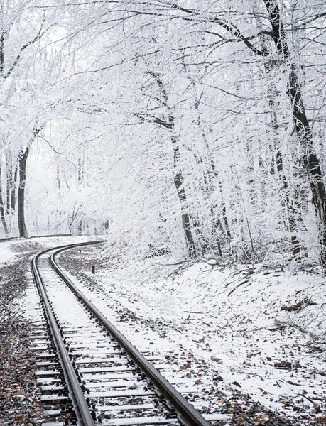 Kardan Ormana Giden Tren Rayları — Stok fotoğraf