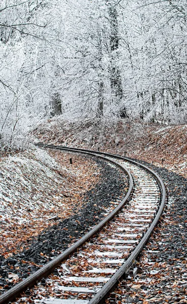 Kardan Ormana Giden Tren Rayları — Stok fotoğraf