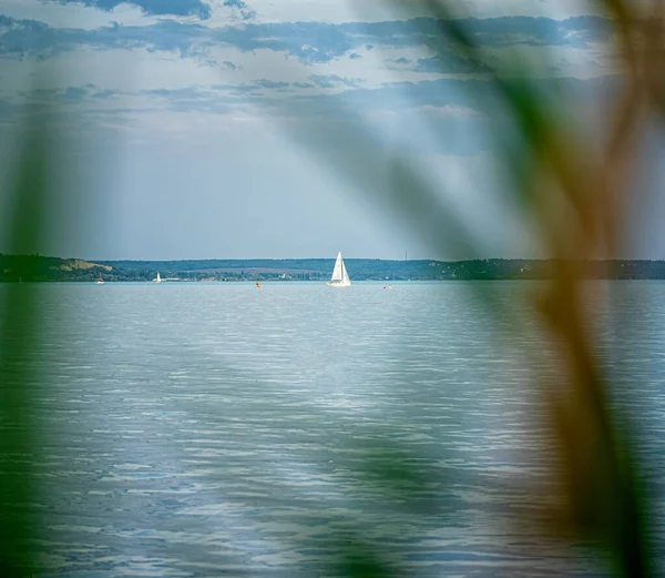 Vitorlás Náddal Balatonnál Magyarország — Stock Fotó