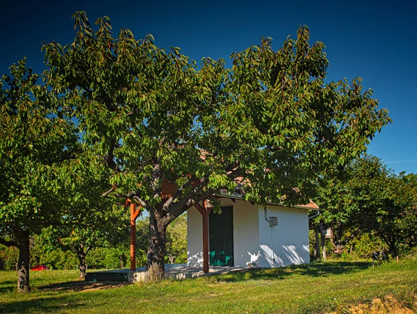 Casa Rurale Sul Lago Balaton Ungheria — Foto Stock