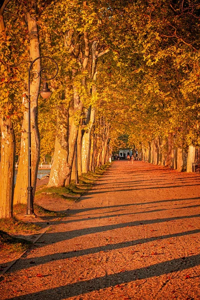 Ścieżka Nad Balatonem Jesienią — Zdjęcie stockowe