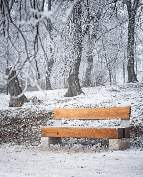 美丽的冬季景色被雪覆盖着 — 图库照片