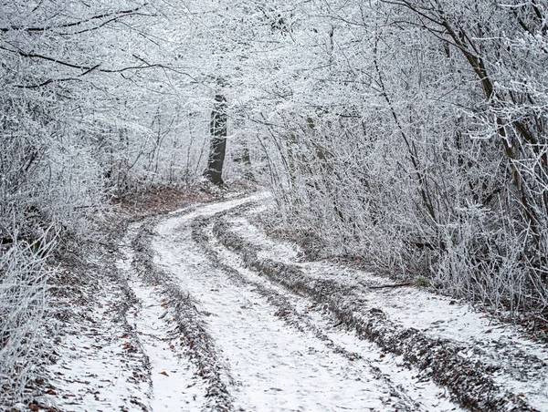 Cena Inverno Agradável Coberta Neve — Fotografia de Stock