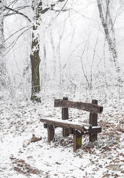 Bänk Vintern Skogen — Stockfoto