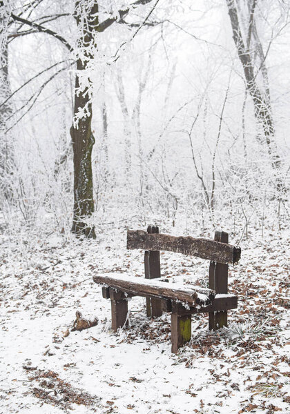 Bench in winter in the forest