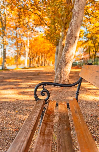 Banc Avec Lumières Automnales Octobre — Photo