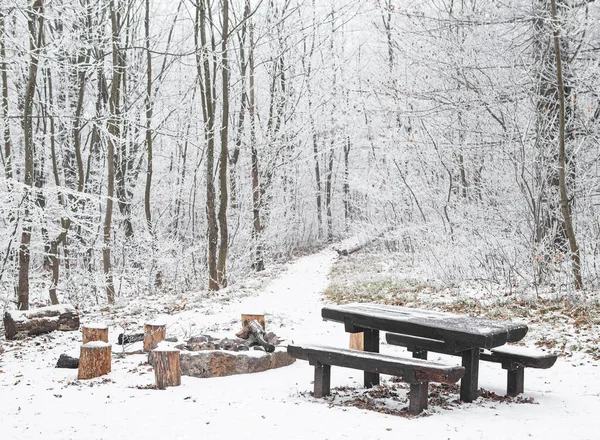 冬天在森林里的长椅 — 图库照片