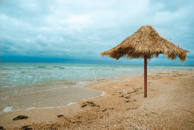 hasır plaj şemsiyesi