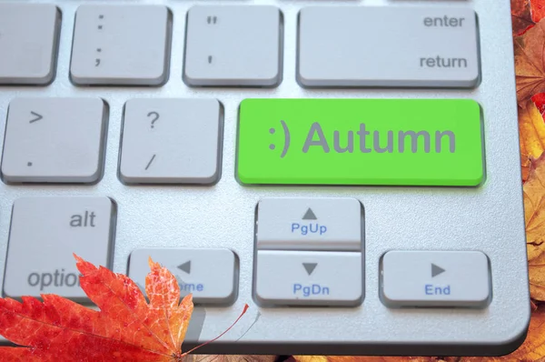 Počítačová Klávesnice Zeleným Podzimní Klíčem Pozadí Žluté Listy — Stock fotografie