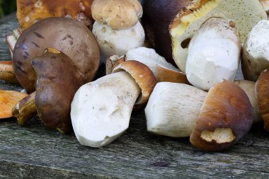 Eski ahşap masa üzerinde mantar toplama orman