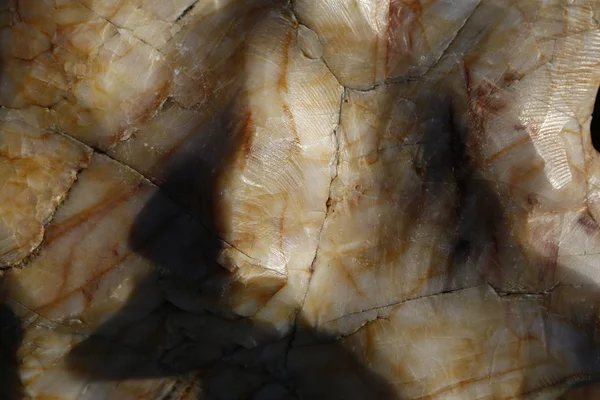 texture,rock,stone,background,surface,granite,architecture,nature,brown,solid,macro,white,pattern,textured,wallpaper,rough,antique,hard,old,abstract,wall,natural,detail,backdrop,sandstone,structure,material,tile,grey,ancient, yapı, mermer, Jeoloji, blac