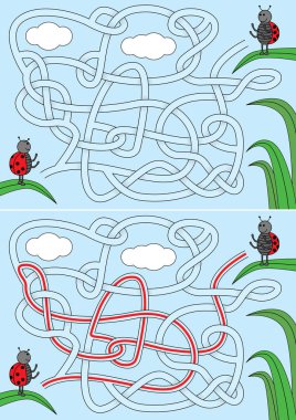 Uğur böceği labirenti