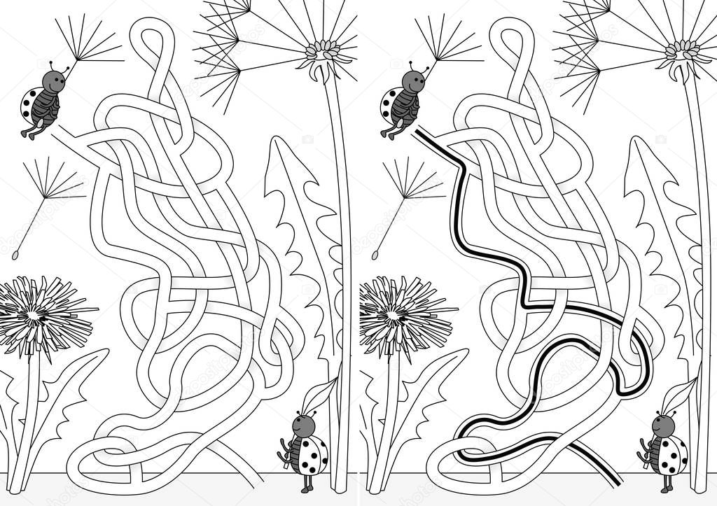 Ladybugs playing with dandelion seeds maze for kids with a solution in black and white