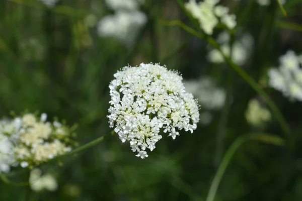 Vlnitá voda — Stock fotografie