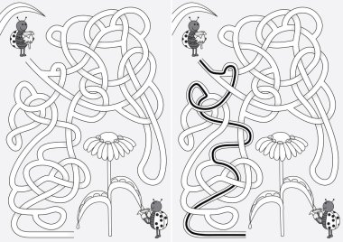 Uğur böceği labirenti