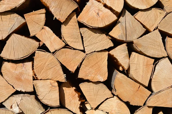 Pile Split Logs Detail Background — Stock Photo, Image