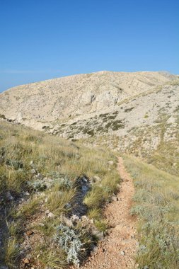 Hiking trail on the southern part of the island of Krk towards Vela Draga clipart