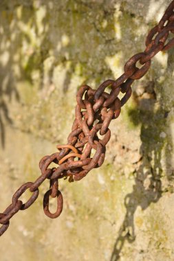 Karmaşık düğümlü paslı bir metal zincir, beton bir duvarın bulanık ve dokulu arka planına sahip yakın plan çekimlerinde yakalanır.