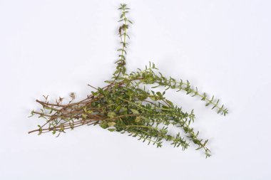 Taze yeşil kekik dallarından oluşan küçük bir deste düz beyaz arka plan üzerine serilmiştir.