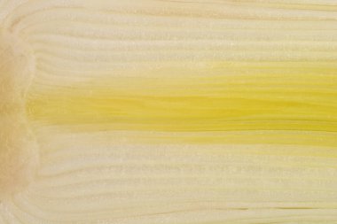 Pırasa sapının içerisine yakından bakınca ince dokusu ve çizgisel deseni ortaya çıkıyor.